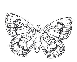 Anleitung - Schmetterlinge aus Papier