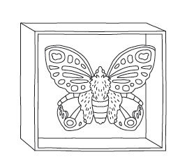 Anleitung - Schmetterlinge aus Papier