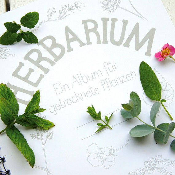 Herbarium - Album zum Sammeln von Pflanzen