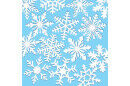 Schneekristalle PDF