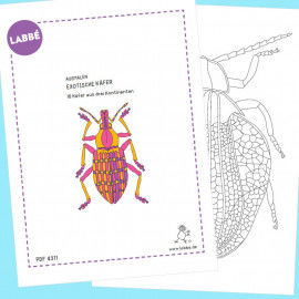 Beispielseiten aus der "Ausmalen – Exotische Käfer PDF"