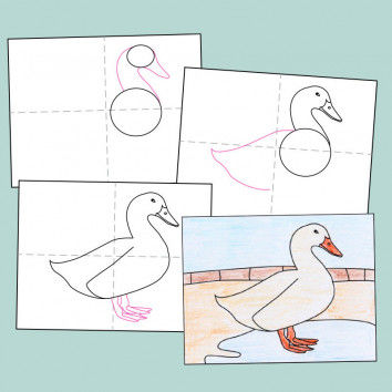 Geleitetes Zeichnen - Ente zeichnen Schritt für Schritt
