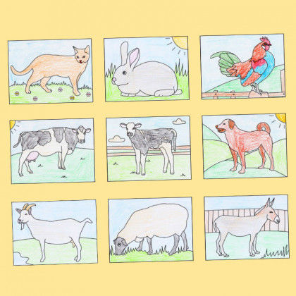 Geleitetes Zeichnen Bauernhoftiere Pdf Labbe