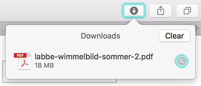 Downloads anzeigen im Firefox